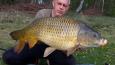 karper van 14 kg Johan Bruinzeels